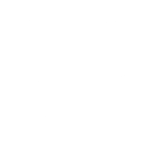 The Evangelical Alliance Mission Logo, two cords of three strands twisted together